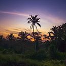 Mi proyecto del curso: Fotografía para principiantes: descubre tu cámara digital Ein Projekt aus dem Bereich Fotografie, Digitalfotografie und Fotografische Komposition von kuki_malaga - 14.09.2022