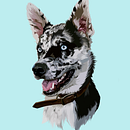 Pet Illustrations. Un progetto di Illustrazione tradizionale di Sandy Anger - 14.09.2022