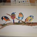 Mein Abschlussprojekt für den Kurs: Illustriere Vögel mit expressiven Aquarelltechniken. Een project van Traditionele illustratie, Aquarelschilderen, Realistische tekening y Naturalistische illustratie van Anja Engler - 14.09.2022