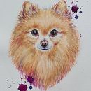 My project for course: Expressive Animal Portraits in Watercolor. Un projet de Illustration traditionnelle, Aquarelle, Dessin réaliste et Illustration naturaliste de Maarja Sinijärv - 14.09.2022