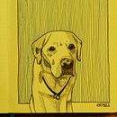 Mein Abschlussprojekt für den Kurs: Tagebuch illustrieren: Fülle dein Skizzenbuch mit Erlebnissen Ein Projekt aus dem Bereich Traditionelle Illustration, Skizzenentwurf, Zeichnung, Sketchbook und Illustration mit Tinte von Nicole Ast - 15.09.2022