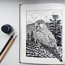 My project for course: Dip Pen and Ink Illustration: Capturing The Natural World. Un proyecto de Bocetado, Dibujo, Dibujo artístico, Sketchbook, Ilustración con tinta e Ilustración naturalista				 de Anna Petrikova - 16.09.2022