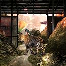 My project for course: Secrets of Photomontage and Creative Retouching. Un progetto di Fotografia, Postproduzione fotografica, VFX, Ritocco fotografico, Fotografia artistica, Composizione fotografica e Fotomontaggio di valentina nilam - 18.09.2022