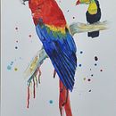 Aves exóticas . Un progetto di Illustrazione tradizionale, Pittura ad acquerello, Disegno realistico e Illustrazione naturalistica di Almerinda Guia - 19.09.2022