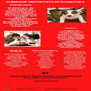 Mi proyecto del curso: Creatividad publicitaria para todos los públicos. Een project van  Reclame, Creatieve consultanc, Marketing y  Creativiteit van Ivon Santino - 20.09.2022