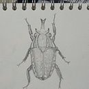 Mi proyecto del curso: Ilustración científica aplicada al diseño de patrones Ein Projekt aus dem Bereich Traditionelle Illustration, Musterdesign, Digitale Illustration und Naturalistische Illustration von Daniela Rodriguez - 20.09.2022