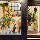 Belton Studio. Design de interiores projeto de Fran Bordell - 15.09.2021