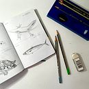 My daily drawing exercise. Un proyecto de Dibujo a lápiz de Jovana Spence - 18.09.2022