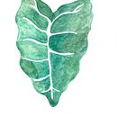 Meu projeto do curso: Aquarela botânica para estampados. Een project van Traditionele illustratie, Patroonontwerp, Aquarelschilderen y  Botanische illustratie van vanessacbb - 21.09.2022