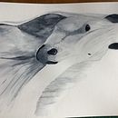 Horse in aquarel. Un proyecto de Pintura de Miranda - 23.09.2022