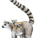 My project for course: Scientific Illustration of Animals in Watercolor  . % exxodus7 tarafından hazırlanan Geleneksel illüstras, on, Sulubo, a Resim, Gerçekçi Çizim, Doğalcı İllüstras, Ve on projesi - 09.23.2022