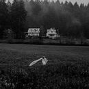  Estrangement . Un proyecto de Fotografía de ericakelmmarketing - 24.09.2022
