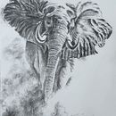 Charcoal drawings. Un progetto di Illustrazione tradizionale e Belle arti di Lilia Birnaz - 28.09.2022