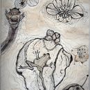 final project. Traditional illustration project by Νικόλαος Ψαρινόπουλος - 09.29.2022