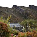 Mi proyecto del curso: Fundamentos y técnicas de fotografía moderna de naturaleza Ein Projekt aus dem Bereich Fotografie, Bildbearbeitung, Social Media, Digitalfotografie, Außenfotografie und Fotografische Komposition von Katerine Lozano - 22.09.2022
