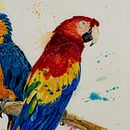 My  3 different projects of birds for the course . Traditional illustration, Watercolor Painting, Realistic Drawing, and Naturalistic Illustration project by Morgane Bouiller - 08.29.2022