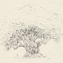 Tree sketches. Drawing, Pencil Drawing, and Sketching project by Bartek Jędrzejczak - 10.02.2022