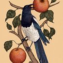 Mon projet pour le cours : Illustration naturelle avec peinture numérique. Un projet de Illustration traditionnelle, Dessin, Illustration numérique, Dessin réaliste, Peinture numérique et Illustration naturaliste de Natalia Barabola - 03.10.2022
