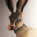 Meu projeto do curso: Técnicas experimentais de aquarela para principiantes. Un projet de Illustration traditionnelle, Beaux Arts, Aquarelle et Illustration naturaliste de Diana Santos - 25.02.2023