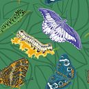 PATTERN BUTTERFLIES AND CATERPILLARS. Ilustração tradicional, Design de vestuário, Pattern Design, Design de moda e Ilustração digital projeto de Elena Di Giovinazzo - 05.10.2022