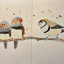 My project for course: Artistic Watercolor Techniques for Illustrating Birds. Ilustração tradicional, Pintura em aquarela, Desenho realista e Ilustração naturalista projeto de Caroline Chung-Wipff - 06.10.2022