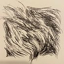 Practicing Pine cone scales and fur with ink and graphite. Een project van Traditionele illustratie van Susan Sarabasha - 06.10.2022