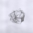 Il mio progetto del corso: Da principiante a disegnatore provetto. Un projet de Design , Illustration traditionnelle, Dessin au cra, on , et Dessin de Andrea Ceccarelli - 08.10.2022