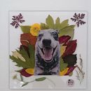 Mi proyecto del curso: Técnicas básicas de prensado botánico. Un proyecto de Artesanía, Collage y DIY de jhernandezsilva - 10.10.2022