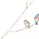 Illustrazione naturalistica: acquerello in positivo e negativo. Un proyecto de Ilustración tradicional, Pintura, Dibujo, Pintura a la acuarela, Ilustración naturalista				, Ilustración botánica y Bellas Artes de Federica Usai - 10.10.2022