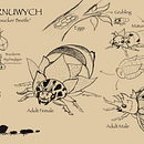 The Creatures of Tenembria. Een project van Traditionele illustratie,  Concept art y Schrijven van kylephibbsky - 09.10.2022