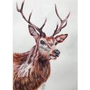 A stag by Sarah Stokes. Un proyecto de Ilustración tradicional, Artesanía, Bellas Artes, Pintura, Dibujo, Pintura a la acuarela y Dibujo de Retrato de Michela Gissi - 12.10.2022