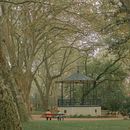 A walk in the Park. Un projet de Photographie de Margarida da Mota - 14.10.2022