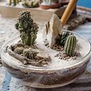 Meu projeto do curso: Arte vegetal: crie seu próprio terrário aberto. Un projet de Design d'intérieur, Pa, sagisme, Décoration, DIY , et Art floral et végétal de Daniel Ernesto Fernandez - 15.10.2022