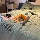 Inktober Day 1 Gargoyle . Ilustrație tradițională de Sarah Lavergne - 10.01.2022