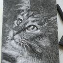 gato carboncillo. Un proyecto de Dibujo realista de msanzalcaraz - 15.10.2022