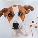Mon projet du cours : Portraits expressifs d'animaux à l'aquarelle. Un progetto di Illustrazione tradizionale, Pittura ad acquerello, Disegno realistico e Illustrazione naturalistica di Mélissa Côté - 11.10.2022
