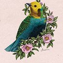 Mon projet du cours : Illustration naturaliste au stylo Ein Projekt aus dem Bereich Traditionelle Illustration, Zeichnung, Realistische Zeichnung und Naturalistische Illustration von Amena Nathan - 19.10.2022
