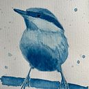 Meu projeto do curso: Técnicas expressivas de aquarela para ilustração de pássaros. Ilustração tradicional, Pintura em aquarela, Desenho realista e Ilustração naturalista projeto de Patricia Pereira - 16.10.2022
