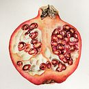 My project for course: Botanical Watercolor: Illustrating Art and Science. Un projet de Illustration traditionnelle, Beaux Arts, Peinture, Dessin, Aquarelle et Illustration botanique de joeandmarymarshall - 21.10.2022