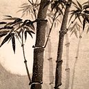 My project for course: Introduction to Sumi-e Painting. Un projet de Illustration traditionnelle, Dessin et Illustration à l'encre de Anastasia - 19.10.2022
