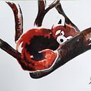 Mijn project van de cursus: Experimentele aquareltechnieken voor beginners. Traditional illustration, Fine Arts, Watercolor Painting, and Naturalistic Illustration project by Masja van de Ven - 10.22.2022