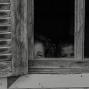 Vila Maria  - Protagonista da  clandestinidade . Photograph project by Jorge Leão - 10.23.2022