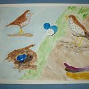 My project for course: Illustrating Nature: A Creative Exploration. Un projet de Illustration traditionnelle, Peinture, Dessin, Aquarelle, Illustration à l'encre et Illustration naturaliste de Gary Colles - 24.10.2022
