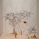 Collaboration with ACdO - Exhibition "Paisajes sobre Plinto" . Un progetto di Design floreale e vegetale e Artigianato di Louise Worner - 26.10.2022