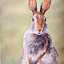 My project for course: Expressive Animal Portraits in Watercolor. Un proyecto de Ilustración tradicional, Pintura a la acuarela, Dibujo realista e Ilustración naturalista				 de stevemnwac - 28.10.2022
