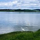 Meu projeto do curso: Teoria das cores na fotografia. Un projet de Photographie, Retouche photographique, Photographie numérique, Composition photographique , et Théorie des couleurs de Anderson Estevam - 28.10.2022