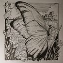 Mein Abschlussprojekt für den Kurs: Illustration mit Füller und Tinte: Natur zeichnen. Een project van  Schetsen,  Tekening,  Artistieke tekening, Sketchbook,  Illustratie met inkt y Naturalistische illustratie van okipey - 30.10.2022