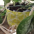 My project for course: Creative Ceramics: Give Shape to Your Ideas with Artisanal Technique. Een project van Ontwerp van accessoires, Craft,  Beeldende kunst,  Interieurdecoratie y Keramiek van Sissy Christidou - 03.11.2022