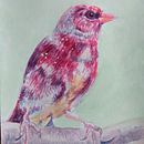 Mi proyecto del curso: Paisajes naturales en acuarela. Un progetto di Belle arti, Pittura e Pittura ad acquerello di Marta López Iriarte - 04.11.2022