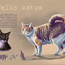 Mój projekt z kursu: Naturalistyczne ilustracje zwierząt w programie Procreate. Un progetto di Illustrazione tradizionale, Illustrazione digitale, Disegno realistico e Illustrazione naturalistica di Maria Właszyn - 05.11.2022